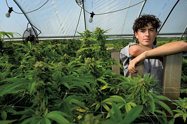 Oliver Duncan of Good Pot Co. in his light-deprivation cannabis greenhouse in Addison County