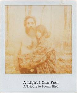 Cover, 'A Light I Can Feel: A Tribute to Brown Bird' - COURTESY OF BURST & BLOOM RECORDS