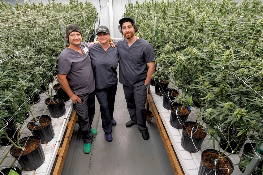 Best local cannabis grower