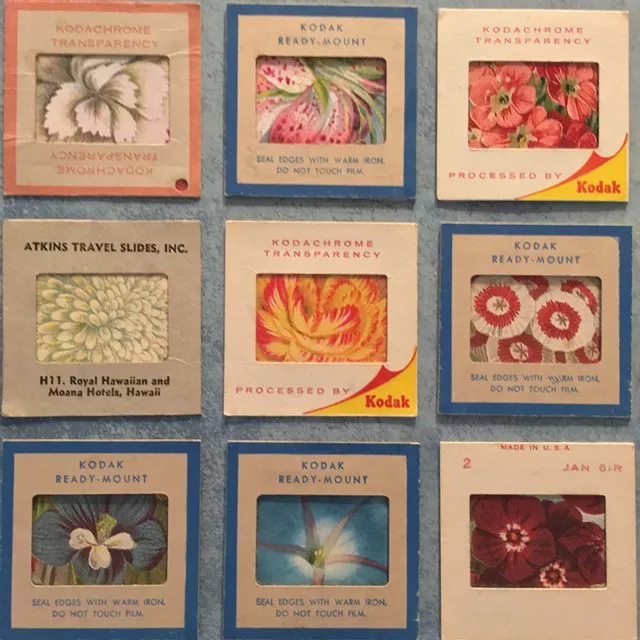 Special Collections: the Assemblages of Pat Laffin