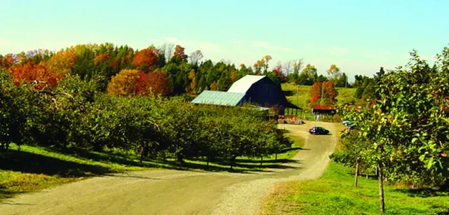 Border Buster Cider Is the Fruit of Three Local Orchards