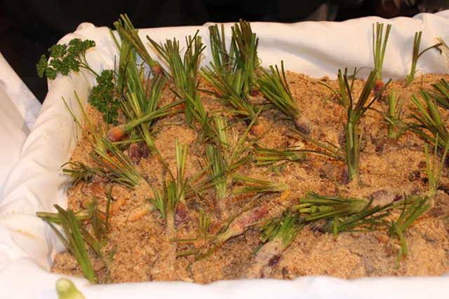 The Big Feed at Shelburne Farms: Vermont Fresh Network Dinner