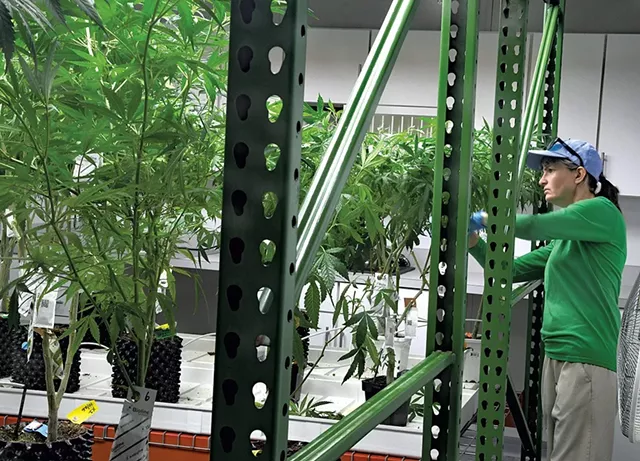 Vermont Grants Medical Marijuana License to PhytoScience Institute