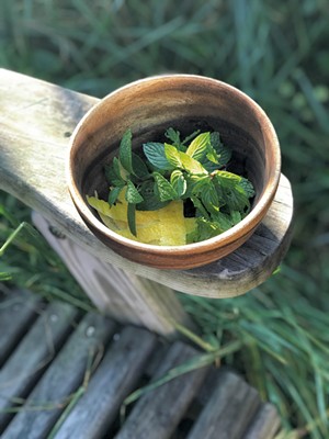 Fresh mint and lemon peel for simple syrup - SUZANNE PODHAIZER