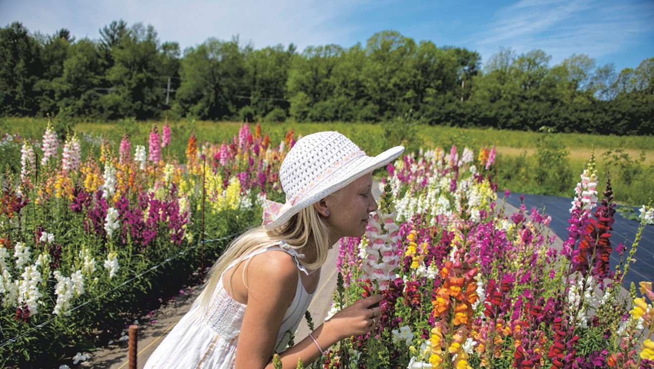 Winter Flowers — Gardening Charlotte