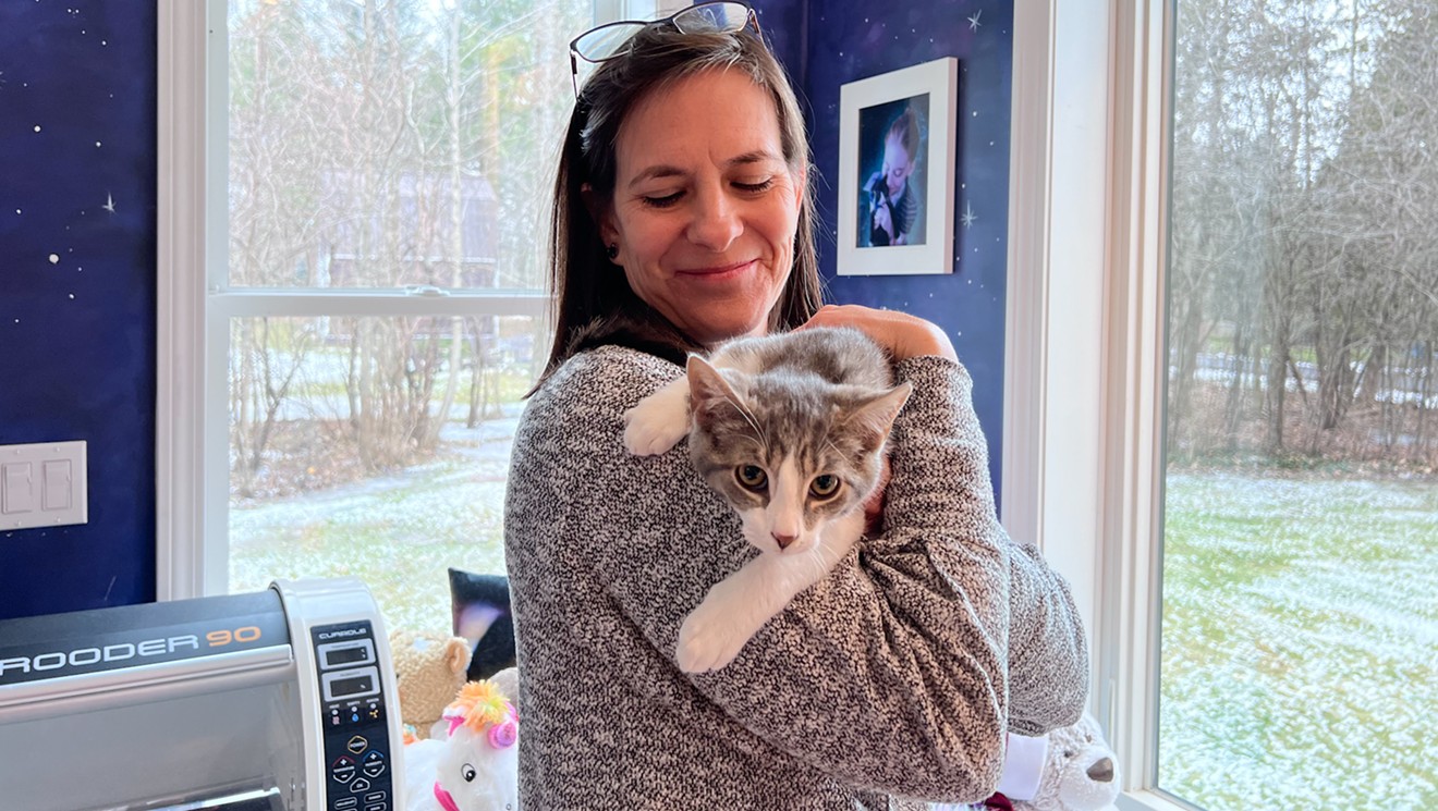 Vermont cat cafe owner destroys her own store to save kittens 