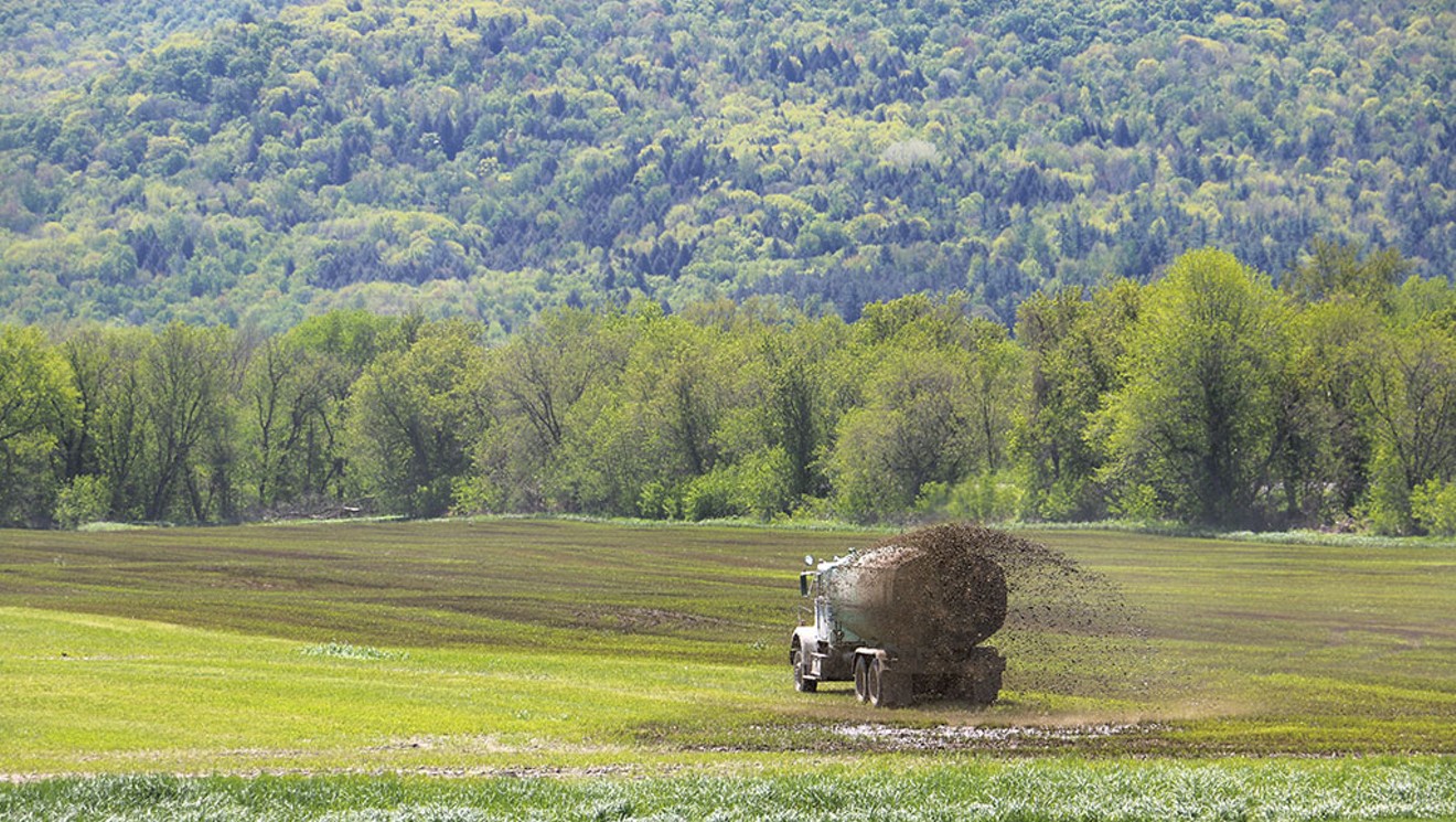 Lake Advocates Say Vermont Has Botched Regulating Pollution on Dairy Farms | Environment | Seven Days