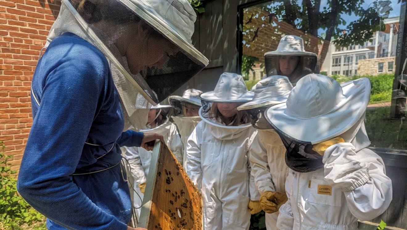 The Secrets of Beekeeping - Slow Food International