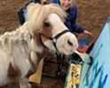 Stuck in Vermont: Painting with Pepperoni, a Miniature Horse; Judi Whipple; and Jane Bradley at Breckenridge Farm in Plainfield