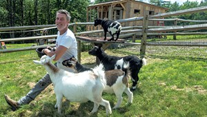 A Member of a Famous NFL Family Keeps Blind Ponies, Arthritic Horses and a Goat Hotel in Vermont