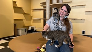 Stuck in Vermont: Two Months After the Flood, Alexis Dexter Rebuilds Kitty Korner Café in Barre and Continues to Rescue Cats