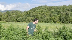 Waterbury Couple Buy Rare Vermont Cannabis License