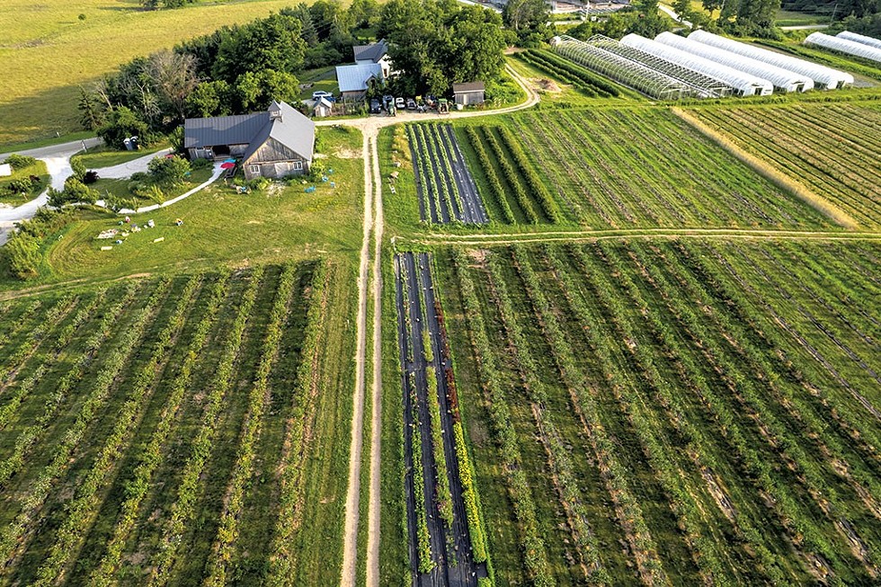 Adam's Berry Farm - JAMES BUCK