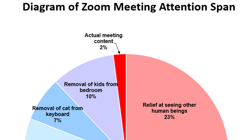 Burlington Resident's Zoom Meeting Meme Goes Viral (3)