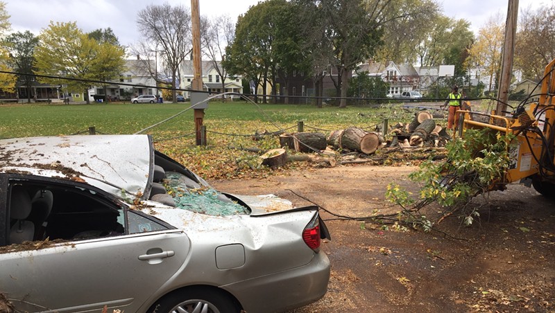 A large tree crushed a car and took down power lines in Burlington's Lakeside neighborhood.