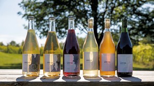 Iapetus wines at Shelburne Vineyard