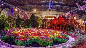 Slideshow: The Vermont Flower Show 2019