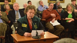 Vermont State Employees Association President Shelley Martin speaks against personnel cuts at a Statehouse hearing earlier this year.