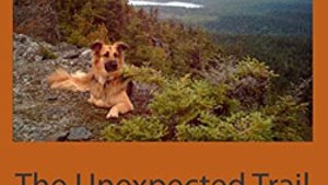 The First 50 Pages: The Unexpected Trail