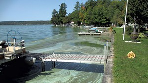 Blue-green algae on the shores of Lake Carmi in 2017