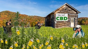 The Parmelee Post: Visitors Flock to Vermont to See Leaves Change to CBD