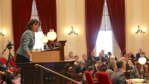 House Speaker Mitzi Johnson gaveling in the final override vote Wednesday