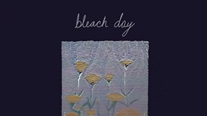 Bleach Day, as if always