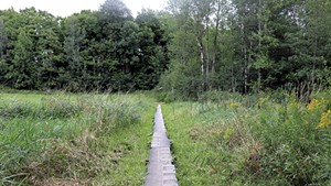A section of the North Country Trail near Middlebury