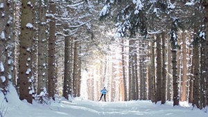 Cross-country skiing at Rikert Nordic Center