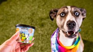 Rosie and the new Ben & Jerry's dog dessert named after her