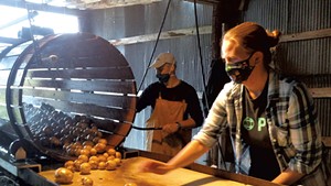 Farmer Mark Cannella (rear) and volunteer Rebecca Mead washing Valentine Farm potatoes in 2020