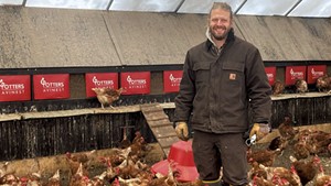 Pastured Eggs, Composting and Human Rights Are Linked at Black Dirt Farm