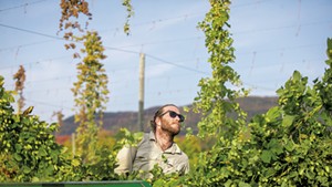 Hops harvesting at Champlain Valley Hops