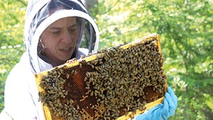 Brooke Decker inspecting a beehive