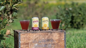 Shrubbly, a nonalcoholic beverage made with Aronia berries