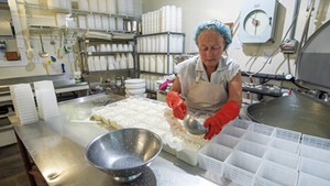 Laini Fondiller of Lazy Lady Farm making goat cheese