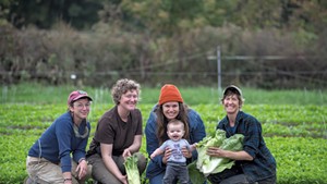 From left: Sophie Cassel, Sophie Howat, Andrea Solazzo with her baby, Lucia Solazzo Dunseith, and Hilary Martin among baby chicory at the Diggers' Mirth Collective Farm