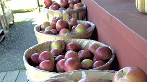 Prepicked apples outside the farm store