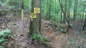 Signs on the Trail Around Middlebury
