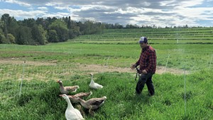 Morgan Gold filming ducks at his farm