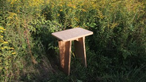 A table made by Ecovative