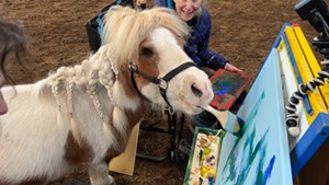 Pepperoni the mini horse paints pictures