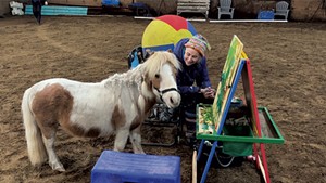 Pepperoni the horse painting with Jane Bradley at Breckenridge Farm in Plainfield
