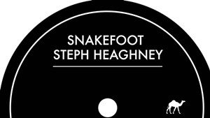 Top Vermont Singles of 2016: SnakeFoot & Steph Heaghney, "All Gifted"