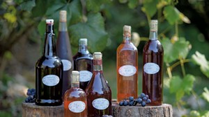 Bottles of Jessica Wagener's homemade wine