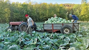 Zach Brandau, a seasonal farmhand and Doug Flack during a previous harvest