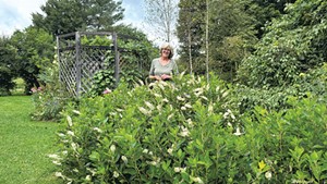 Rachel Kane at Summersweet Garden Nursery in East Hardwick