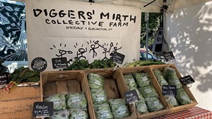 Diggers' Mirth Collective Farm stand