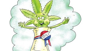 Marijuana Legalization Bill Is Still Alive, But Lacks Strong Support