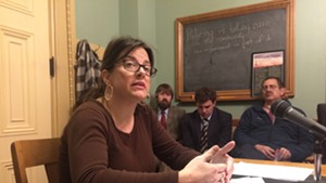 Freelance journalist Hilary Niles testifies in favor of a shield law in the Senate Government Operations Committee.